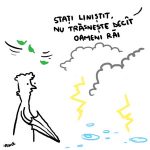 035trasnet